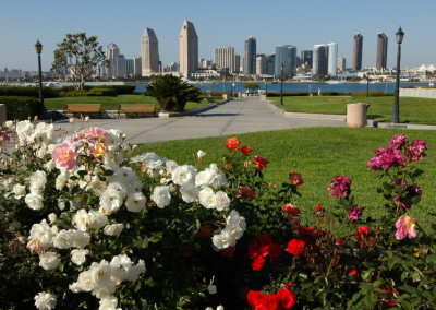 Coronado-Park-and-SanDiego-view